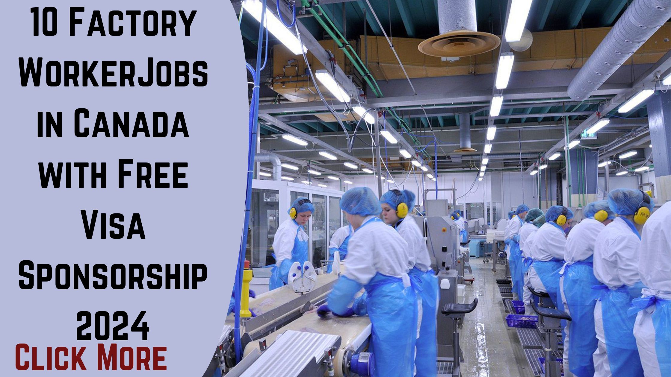 Factory Worker Jobs in Canada with Free Visa Sponsorship